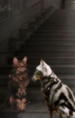 Две кошки