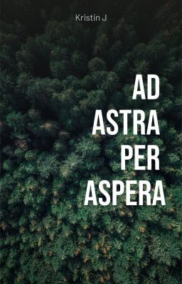 Аd astra per aspera