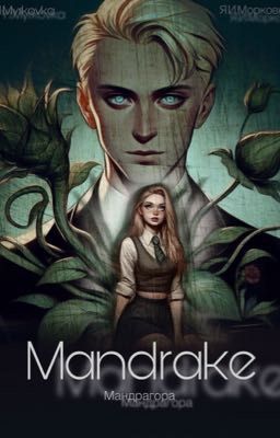 Mandrake-Мандрагора